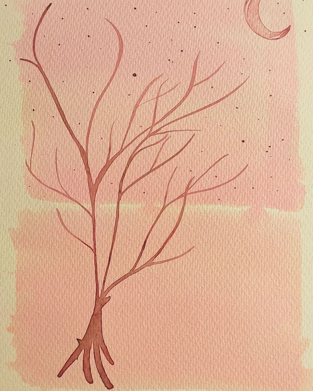 Storia di un pipistrello e della farfalla che diventò sua amica – 7° e ultimo capitolo