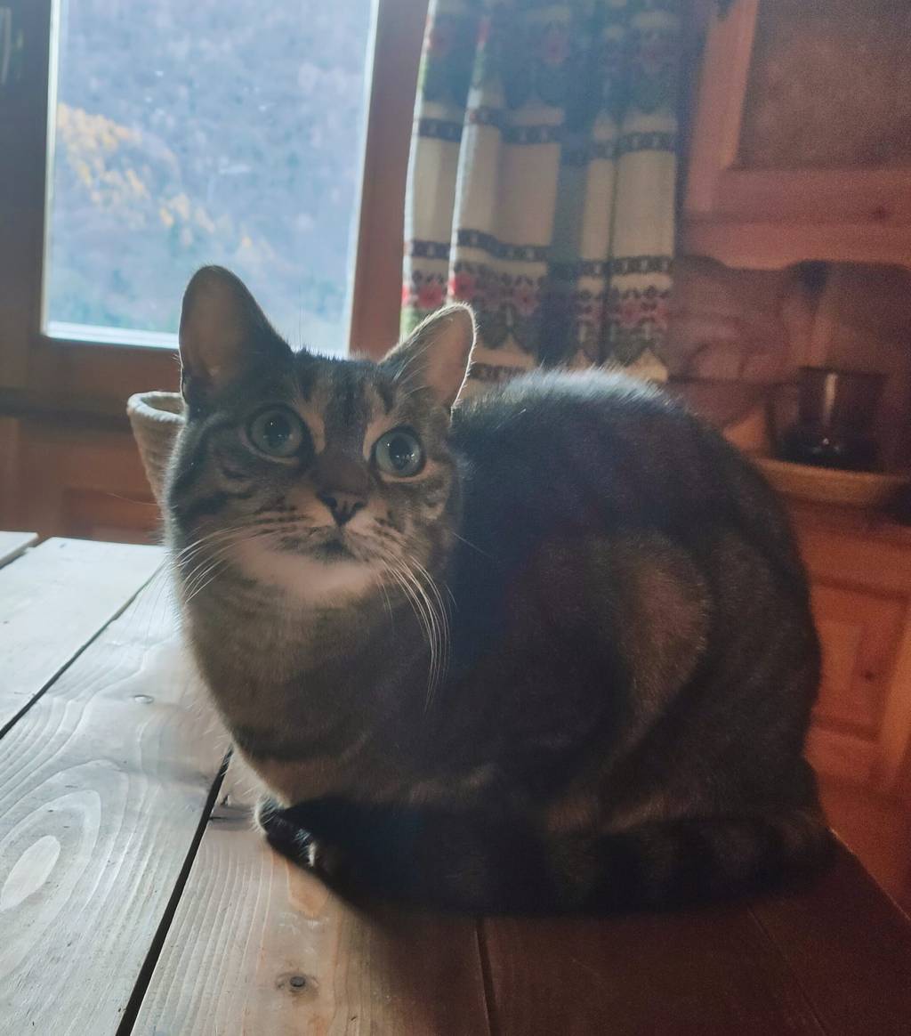 Appunti dallo scorso inverno