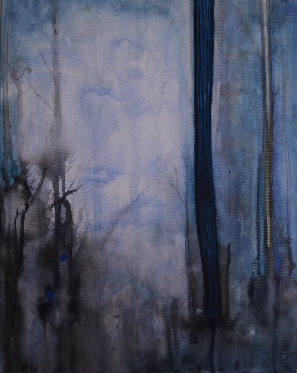 Transvaal Reserve, Sudafrica, 1981